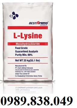 |Hoá chất L-Lysine HCl